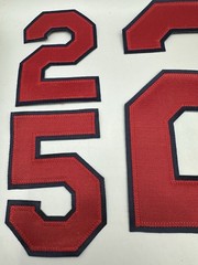 Mark McGwire St Louis Cardinals Jersey Patches Name & Numbers