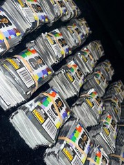 50 Sealed Panini Sticker Packs | 7 Stickers Per Pack | Brand New Official Panini