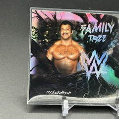2026 Topps Chrome WWE Family Tree The Rock Rocky Johnson #FAM-JR Insert