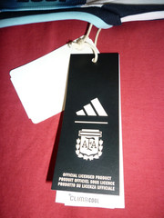 Adidas Argentina AFA FIFA World Cup 2022 Champions Home jersey-New