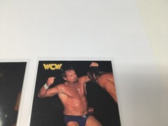 Rowdy Roddy Piper 1998 Topps WCW/NWO Icons #16 & #67 Insert/Subset J2