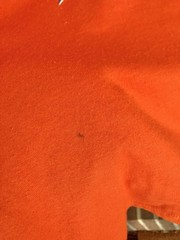 Vintage 1980s NCAA Basketball Utep Miners Tim Hardaway Era Shirt Jerzees XL USA