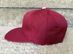 Vintage Philadelphia Phillies Hat American Needle Cooperstown SnapBack Rare cap