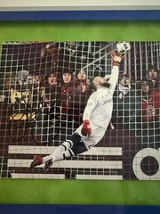 Stefan frei Signed Custom Framed Photo 2016 MLS CUP MVP Winner!!