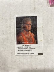 1991 Titan Sports Wrestling Sour Blast Gum Inserts