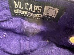 UAlbany Great Danes Hat Purple Adjustable Snapback Cap ML Caps University Albany
