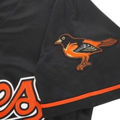 Cal Ripken Jr. 2001 Baltimore Orioles Men&rsquo;s Alt Black Jersey w/ Retirement Patch