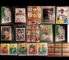Private Card Collection Rice Parker Martinez Boggs Blyeleven Gwynn Rookie 90sMLB