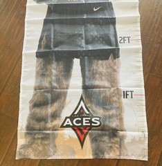 Las Vegas Aces WNBA Kids Growth Chart w/ Mascot Buckets Size 6x2feet Brand New!