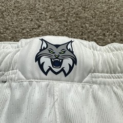 NWOT Nike Engineered Minnesota Lynx Basketball Shorts Sz 32 Length +1 WNBA White