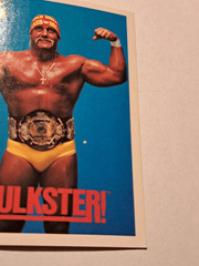 Vintage 1990 WWF Hulk Hogan Trading Card #125 Classic Titan Sports