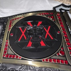 Triple H 30 Years The Authority Championship Title Belt Replica Adult 86 of 300