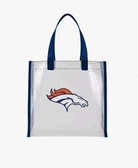 NFL Foco Green Bay Packers Clear Reusable Bag 12 X 12 X 6