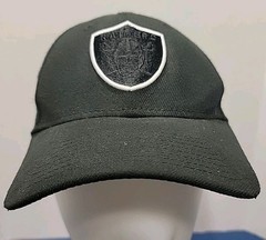 Las Vegas Raiders New Era 39Thirty Cap Fitted Hat Mens M-L Blackout Logo NFL