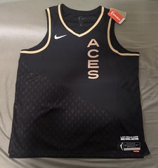 Nike Las Vegas Aces Rebel Edition WNBA Swingman Jersey Blank Sizes M And 2XL New