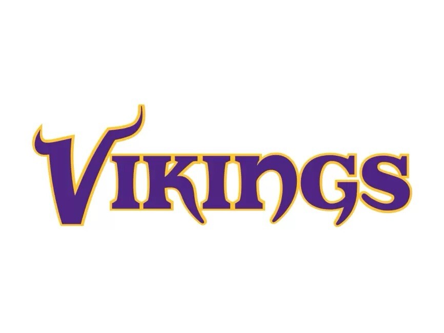 Minnesota Vikings 4” Vinyl decal Sticker NFL bumper window car