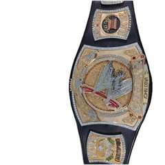 World Heavyweight Wrestling Spinner Championship Belt Original Adult Size 4MM