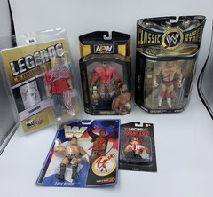 5 Signed Wrestling Figure Lot WWE Arn Anderson Sandman Ryder Rotunda Cash JSA