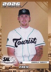 2026 Choice South Atlantic League (SAL) Top Prospects – Pick Your Player