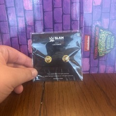 WWE Summer Slam Pin Loot Crate new exclusive collectors New/Sealed