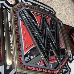 Triple H 30 Years The Authority Championship Title Belt Replica Adult 86 of 300