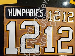 Hamilton (Any Team/League) Name Number UNSEWN Kit for FOOTBALL Jersey READ DESC
