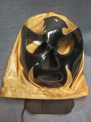 Spoiler Wrestling Pro-Grade Lucha Libre Cosplay Halloween Handmade style #1