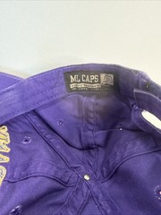 UAlbany Great Danes Hat Purple Adjustable Snapback Cap ML Caps University Albany
