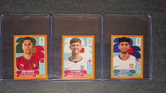 🔥2026 Fifa World Cup Panini Sticker White, Blue, Orange, Purple, Green🔥
