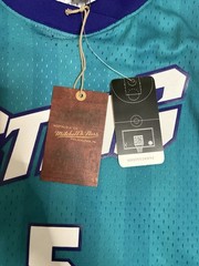 Charlotte Sting Dawn Staley #5 Mitchell & Ness Unisex Teal 2001 WNBA Jersey
