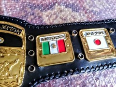 NWA DOMED GLOBE WORLD HEAVYWEIGHT CHAMPIONSHIP BELT ADULT SIZE 4MM ZINC