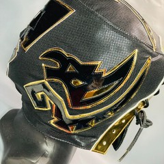 Wagner Semi Professional Wrestling Lucha Libre Costume Mask Luchador Mascara