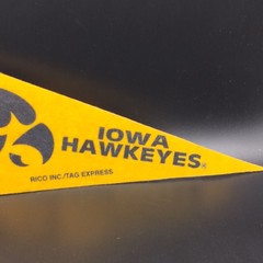 Iowa Hawkeyes NCAA College Mini Pennant Flag Felt RICO INC. 9 Inches Long