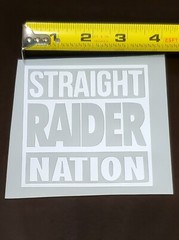 Las Vegas Raiders sticker decal