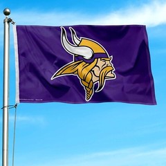 Minnesota Vikings 3×5 ft Flag Banner NFL Football Free Shipping
