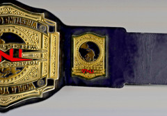 TNA 2010 WORLD TAG TEAM HEAVYWEIGHT CHAMPION WRESTLING REPLICA BELT 2MM BRASS