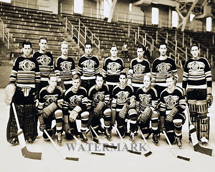 NHL 1939 Chicago Black Hawks Team Photo Black & White 8 X 10 Photo Picture