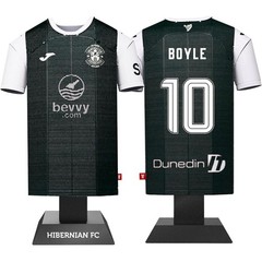 Hibernian FC Metal Football Shirt Personalised Hibs 2025/26 Home Kit Alloy Shirt