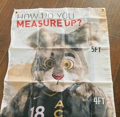 Las Vegas Aces WNBA Kids Growth Chart w/ Mascot Buckets Size 6x2feet Brand New!