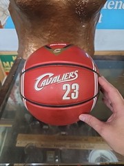 Spalding NBA Cleveland Cavaliers Lebron James Arena Exclusive Jersey Basketball