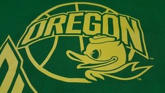 The Nike Tee Oregon Ducks College Basketball T shirt Standard size DC1652-377