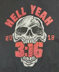 Stone Cold Steve Austin Hoodie jacket zip-up SCSA Hell Yeah Skull WWE Wrestling