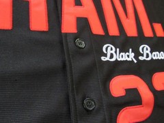 Birmingham BHAM Black Barons #23 Negro League Stitched Jersey Sz L NWT $125