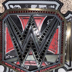 Triple H 30 Years The Authority Championship Title Belt Replica Adult 86 of 300