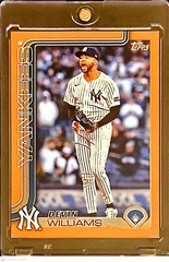 Baseball Serial Numbered Trading Card Singles – Pick Your Cards – Free Ship 4+
