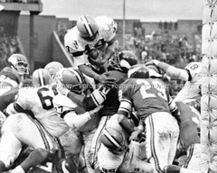 Leroy Kelly CLEVELAND BROWNS Photo Picture FOOTBALL Print 8×10 or 11×14 (LK3)