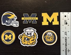 Michigan Wolverine Set of 6 Woven Iron-On Patches – Go Blue