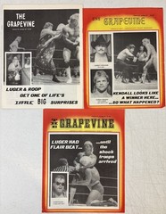 Lot of 18 Vintage « The Grapevine » Vol. 9 Florida Wrestling Programs (1986) RARE!