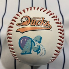 Atlantic League ALPB TEAM LOGOS DEFUNCT Souvenir baseball collectible ball V2