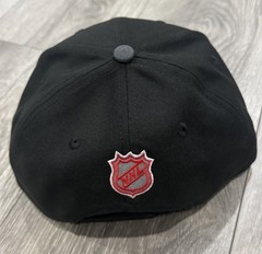 Detroit Red Wings New Era 9Fifty SnapBack Adjustable Hat Black,Gray
